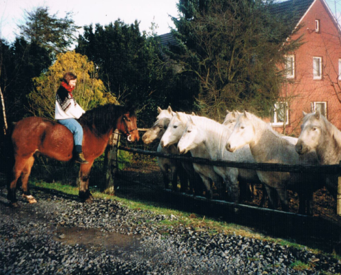 Jugend mit Pferden; Foto: ©Mirjam Steinbock