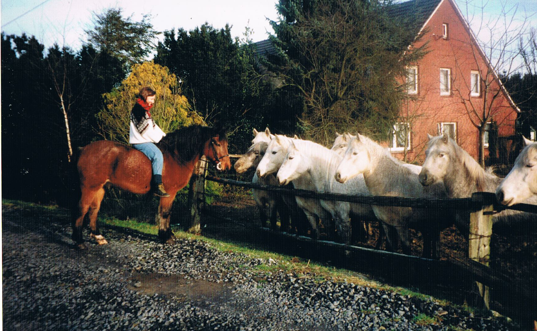 Jugend mit Pferden; Foto: ©Mirjam Steinbock